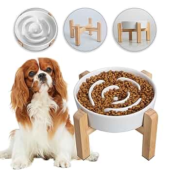 小物 CHALLENGER FTC CHALLENGER DOG BOWL CaliberDog Tag Along Collapsible Dog Bowl | ActiveDogs.com